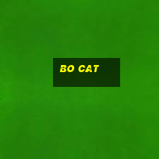 Bo Cat