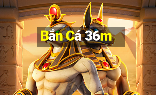 Bắn Cá 36m