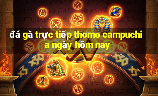 đá gà trực tiếp thomo campuchia ngày hôm nay