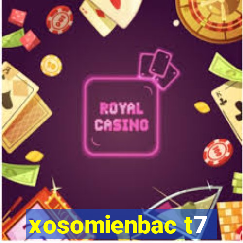 xosomienbac t7