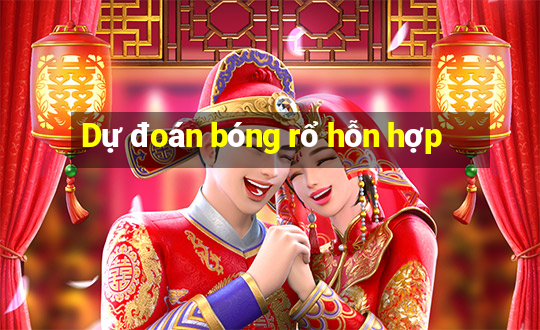 Dự đoán bóng rổ hỗn hợp