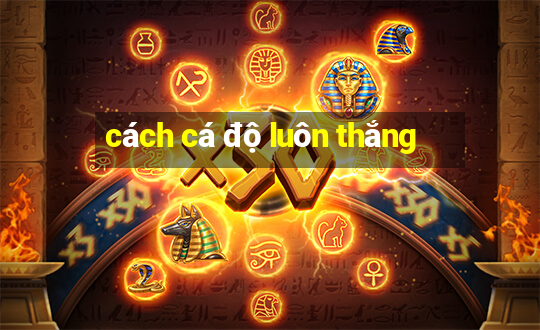 cách cá độ luôn thắng