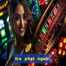 tra phạt nguội ô tô