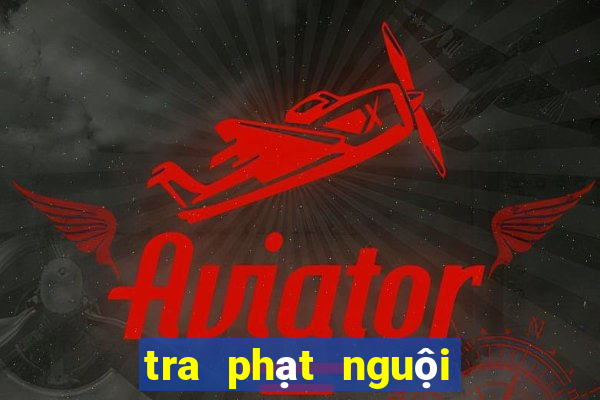 tra phạt nguội ô tô