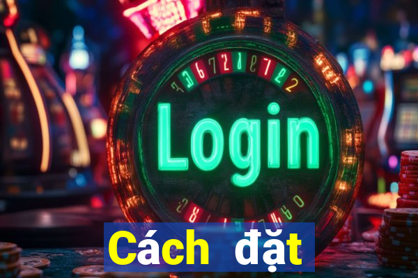 Cách đặt cược XSTTH ngày 8