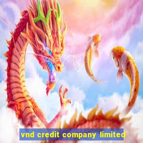 vnd credit company limited