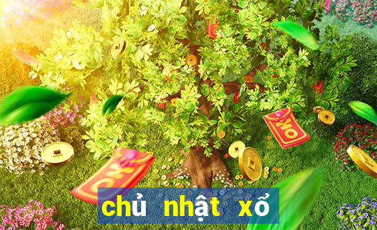 chủ nhật xổ số miền trung