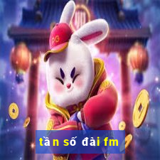 tần số đài fm