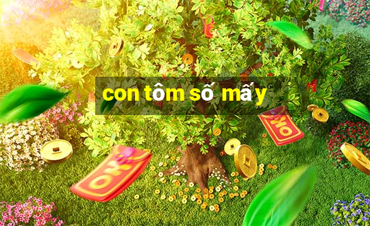 con tom so may