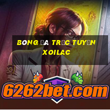 bóng đá trực tuyến xoilac