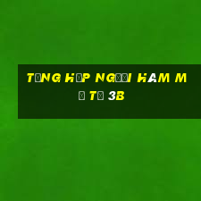 Tổng hợp người hâm mộ từ 3b