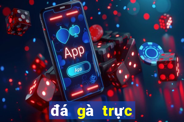 đá gà trực tiếp ngày hôm nay