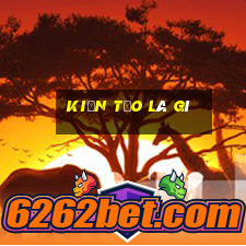 kiến tạo là gì