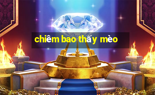 chiêm bao thấy mèo