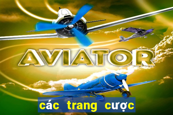 các trang cược uy tín