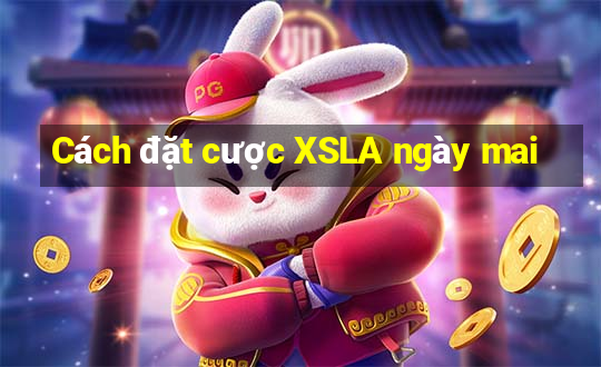 Cách đặt cược XSLA ngày mai