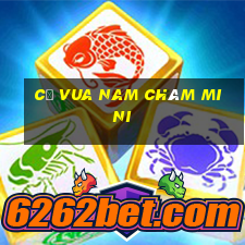 cờ vua nam châm mini