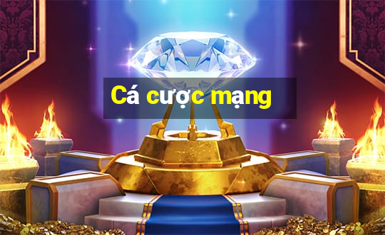 Cá cược mạng