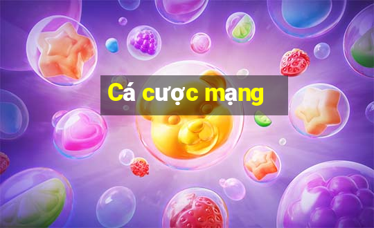 Cá cược mạng