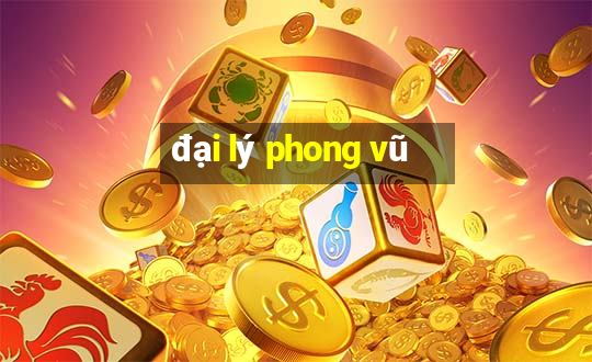 đại lý phong vũ