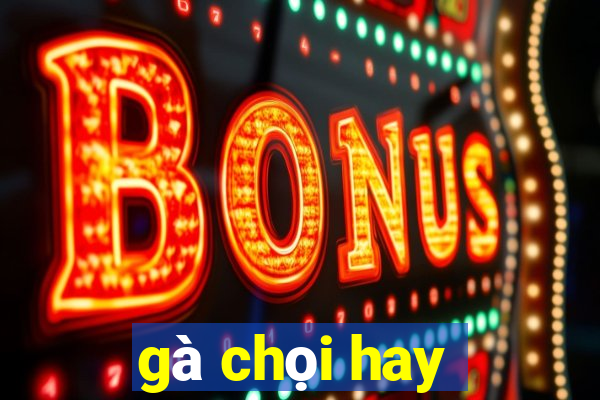 gà chọi hay