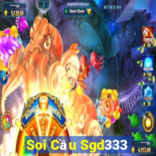 Soi Cầu Sgd333