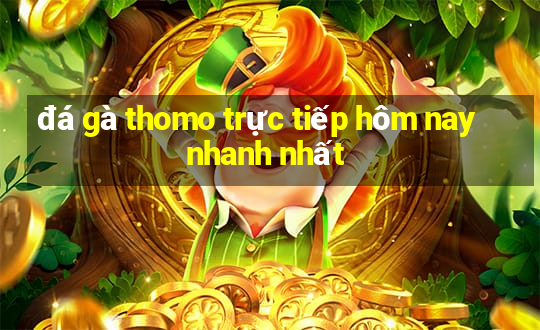 đá gà thomo trực tiếp hôm nay nhanh nhất