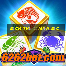 bạch thủ đề miền bắc