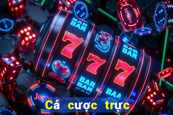 Cá cược trực tuyến vic club