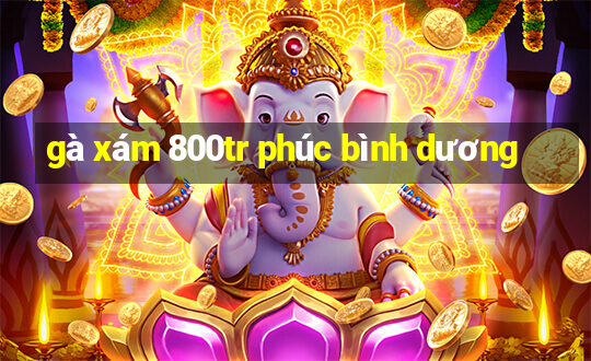 gà xám 800tr phúc bình dương