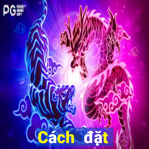 Cách đặt cược XSTN ngày 24