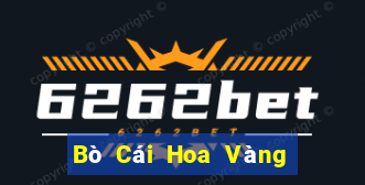 Bò Cái Hoa Vàng Đấu Địa Chủ