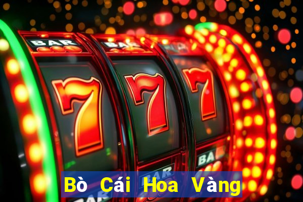 Bò Cái Hoa Vàng Đấu Địa Chủ