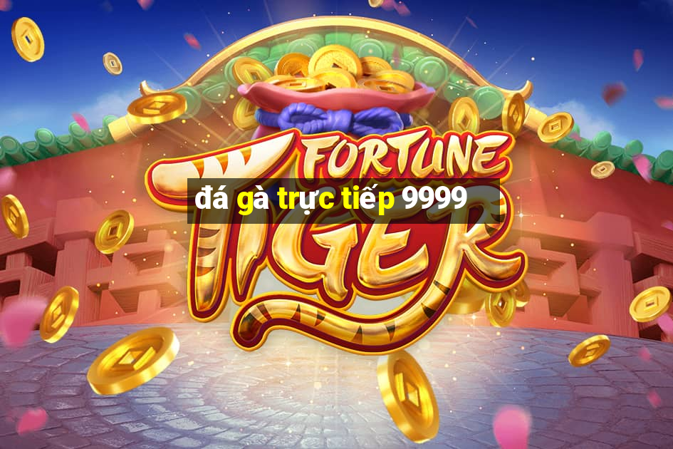 đá gà trực tiếp 9999