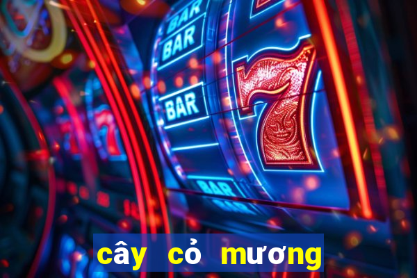 cây cỏ mương chữa dạ dày