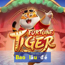 Bao lâu để bảo trì ag net