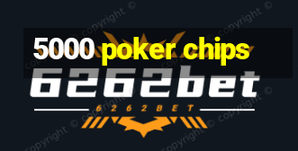 5000 poker chips