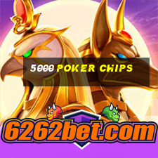 5000 poker chips