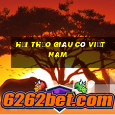 Hội thảo giàu có Việt nam