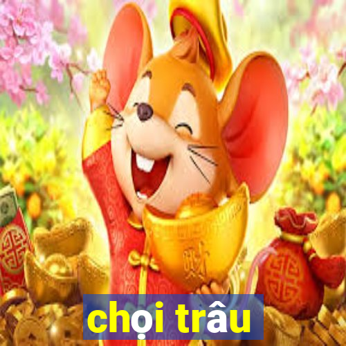 chọi trâu