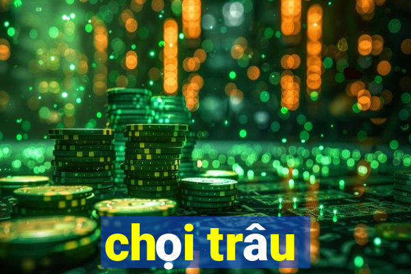 chọi trâu