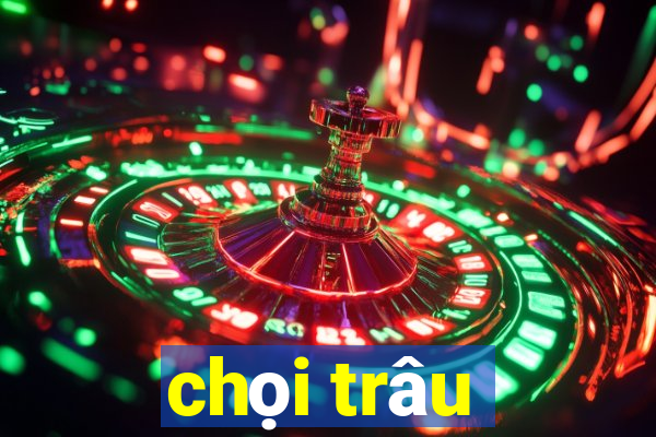 chọi trâu