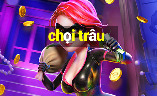 chọi trâu