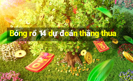 Bóng rổ 14 dự đoán thắng thua