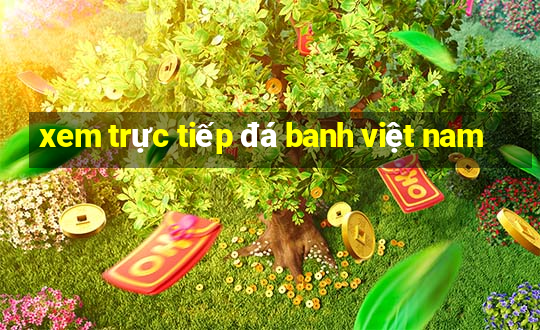 xem trực tiếp đá banh việt nam