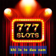 khi lo to dau cam duoi cam