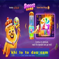 khi lo to dau cam duoi cam