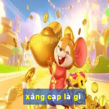 xáng cạp là gì