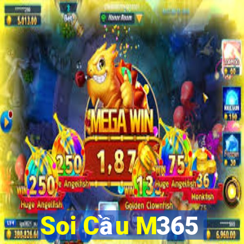 Soi Cầu M365