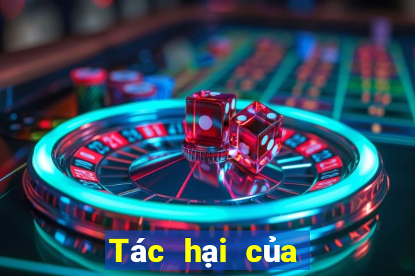 Tác hại của cờ bạc online